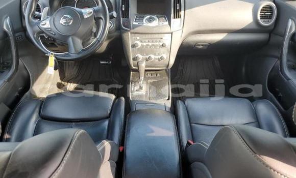 Buy New Nissan Maxima White Car in Badagry in Lagos State Buy New Nissan Maxima White Car in Badagry in Lagos State