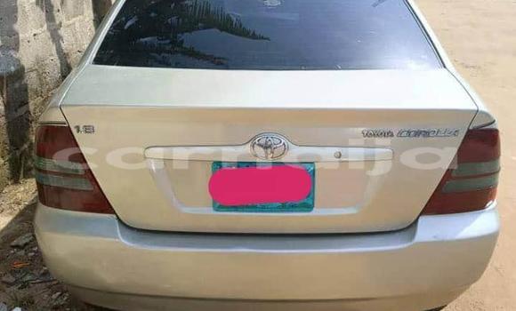 Buy Used Toyota Corolla Other Car in Abat in Akwa Ibom State Buy Used Toyota Corolla Other Car in Abat in Akwa Ibom State