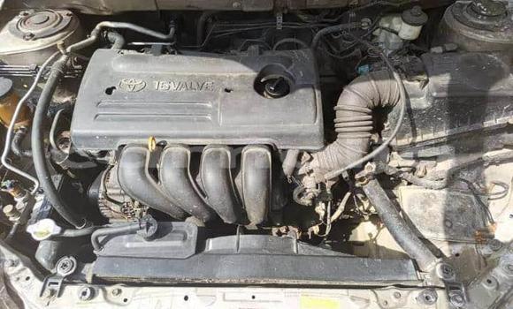 Buy Used Toyota Corolla Other Car in Abat in Akwa Ibom State Buy Used Toyota Corolla Other Car in Abat in Akwa Ibom State