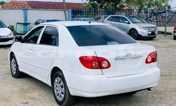 Acheter Occasion Voiture Toyota Corolla Blanc à Abuja, État de Lagos Acheter Occasion Voiture Toyota Corolla Blanc à Abuja, État de Lagos