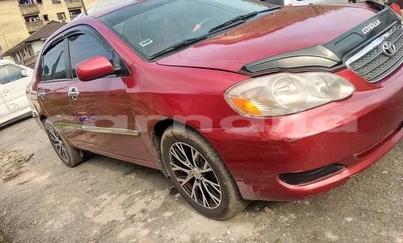 Buy Used Toyota Corolla Red Car in Abuja in Lagos State Buy Used Toyota Corolla Red Car in Abuja in Lagos State
