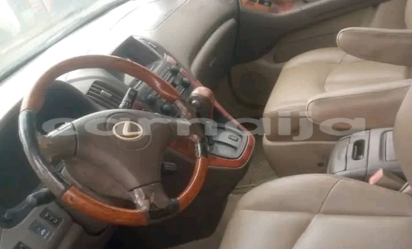 Buy Used Lexus RX 350 Other Car in Abejukolo in Kogi State Buy Used Lexus RX 350 Other Car in Abejukolo in Kogi State