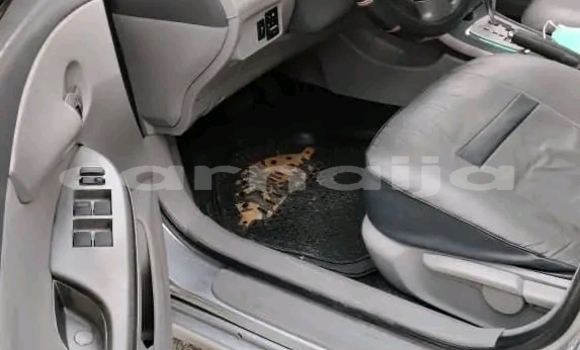 Buy Used Toyota Corolla White Car in Adogo in Kogi State Buy Used Toyota Corolla White Car in Adogo in Kogi State