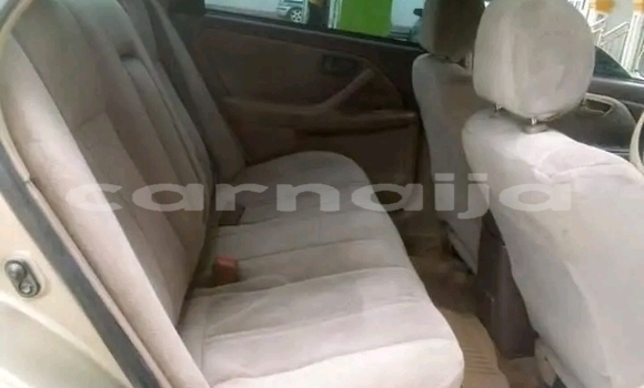 Buy Used Chevrolet Spark Red Car in Abudu in Edo