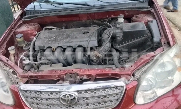 Acheter Occasion Voiture Toyota Corolla Rouge à Abuja, État de Lagos Acheter Occasion Voiture Toyota Corolla Rouge à Abuja, État de Lagos