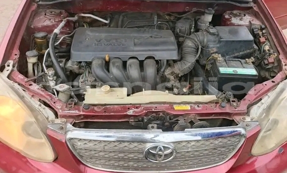 Acheter Occasion Voiture Toyota Corolla Rouge à Abudu, Edo Acheter Occasion Voiture Toyota Corolla Rouge à Abudu, Edo