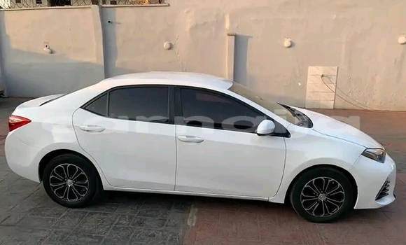 Buy Used Toyota Corolla White Car in Lagos in Lagos State Buy Used Toyota Corolla White Car in Lagos in Lagos State