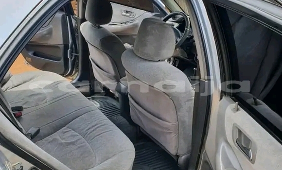 Acheter Occasion Voiture Honda Accord Autre à Abuja, État de Lagos Acheter Occasion Voiture Honda Accord Autre à Abuja, État de Lagos