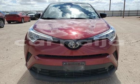 Acheter Neuf Voiture Toyota C-HR Rouge à Badagry, État de Lagos