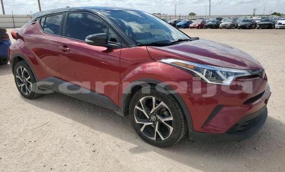 Acheter Neuf Voiture Toyota C-HR Rouge à Badagry, État de Lagos Acheter Neuf Voiture Toyota C-HR Rouge à Badagry, État de Lagos