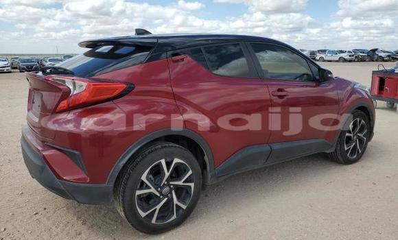 Acheter Neuf Voiture Toyota C-HR Rouge à Badagry, État de Lagos Acheter Neuf Voiture Toyota C-HR Rouge à Badagry, État de Lagos