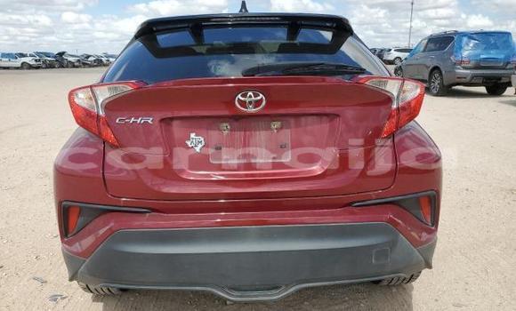 Acheter Neuf Voiture Toyota C-HR Rouge à Badagry, État de Lagos Acheter Neuf Voiture Toyota C-HR Rouge à Badagry, État de Lagos