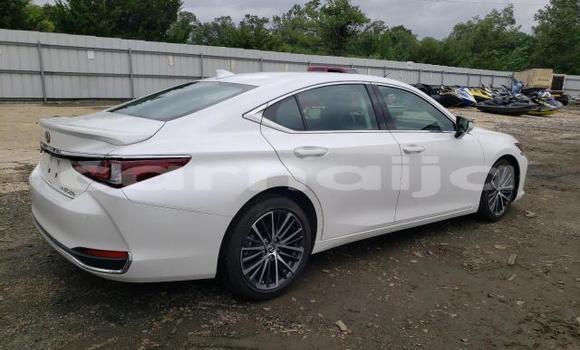Buy New Lexus ES White Car in Lagos in Lagos State Buy New Lexus ES White Car in Lagos in Lagos State