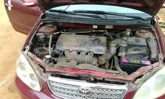 Buy Used Toyota Corolla Red Car in Abudu in Edo