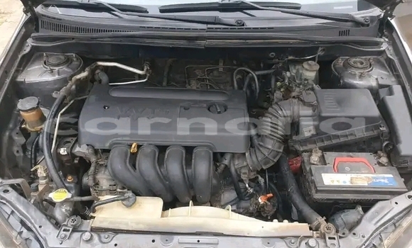 Buy Used Toyota Corolla Other Car in Abuja in Lagos State