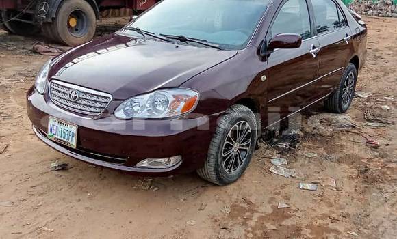 Acheter Occasion Voiture Toyota Corolla Rouge à Abakaliki, État d'Ebonyi Acheter Occasion Voiture Toyota Corolla Rouge à Abakaliki, État d'Ebonyi
