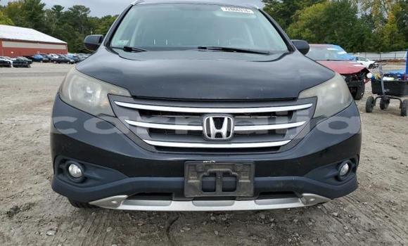 Buy New Honda CR–V Other Car in Lagos in Lagos State