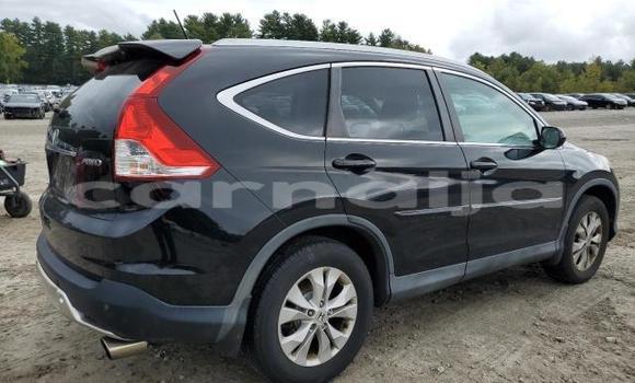 Buy New Honda CR–V Other Car in Lagos in Lagos State Buy New Honda CR–V Other Car in Lagos in Lagos State