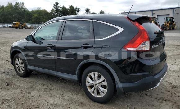 Buy New Honda CR–V Other Car in Lagos in Lagos State Buy New Honda CR–V Other Car in Lagos in Lagos State