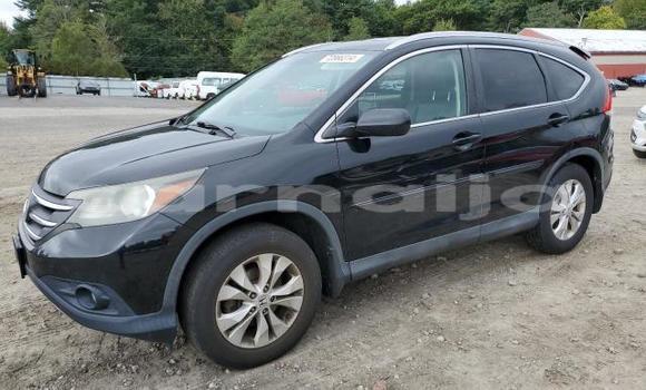 Buy New Honda CR–V Other Car in Lagos in Lagos State Buy New Honda CR–V Other Car in Lagos in Lagos State