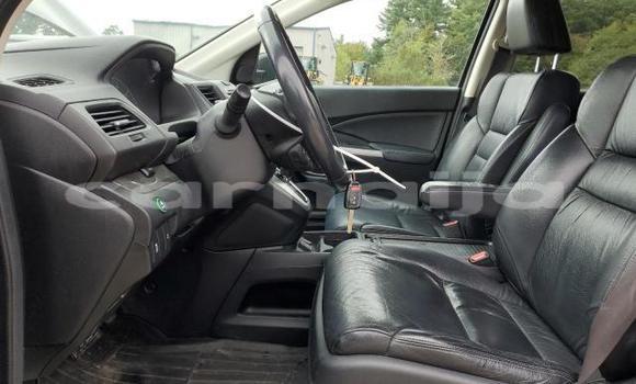 Buy New Honda CR–V Other Car in Lagos in Lagos State Buy New Honda CR–V Other Car in Lagos in Lagos State