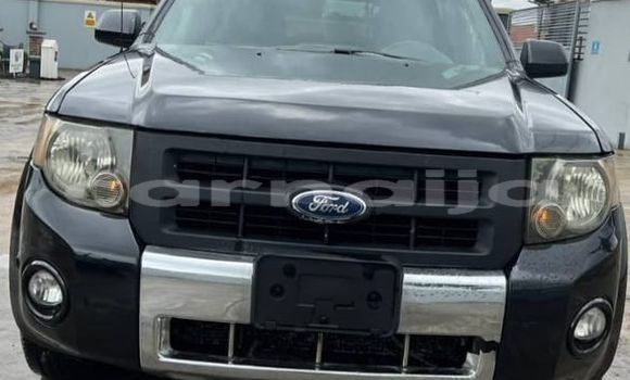 Buy Used Ford Escape Other Car in Lagos in Lagos State