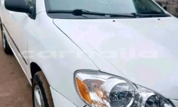 Acheter Occasion Voiture Toyota Corolla Blanc à Abuja, État de Lagos Acheter Occasion Voiture Toyota Corolla Blanc à Abuja, État de Lagos