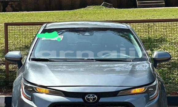Buy Used Toyota Corolla Other Car in Abat in Akwa Ibom State Buy Used Toyota Corolla Other Car in Abat in Akwa Ibom State