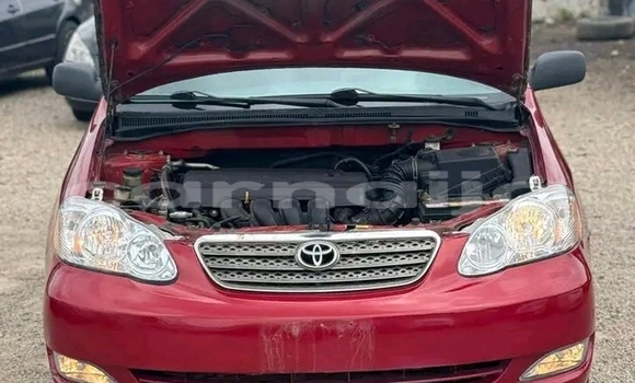 Acheter Occasion Voiture Toyota Corolla Rouge à Abuja, État de Lagos Acheter Occasion Voiture Toyota Corolla Rouge à Abuja, État de Lagos