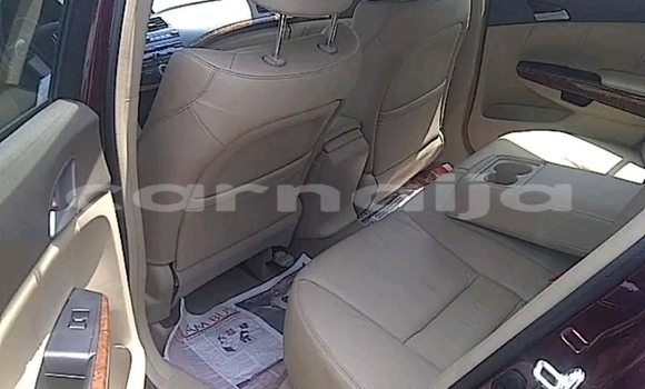 Acheter Occasion Voiture Toyota Corolla Rouge à Abuja, État de Lagos Acheter Occasion Voiture Toyota Corolla Rouge à Abuja, État de Lagos