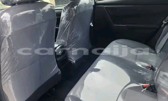 Buy Used Toyota Corolla Other Car in Lagos in Lagos State