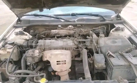 Buy Used Toyota Corolla White Car in Abuja in Lagos State