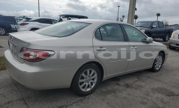 Acheter Neuf Voiture Lexus ES Beige à Badagry, État de Lagos Acheter Neuf Voiture Lexus ES Beige à Badagry, État de Lagos