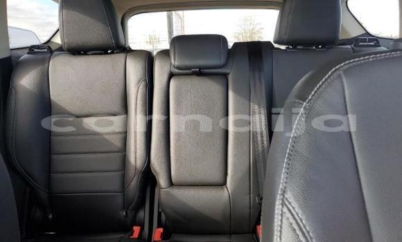 Buy New Ford Escape Brown Car in Badagry in Lagos State Buy New Ford Escape Brown Car in Badagry in Lagos State
