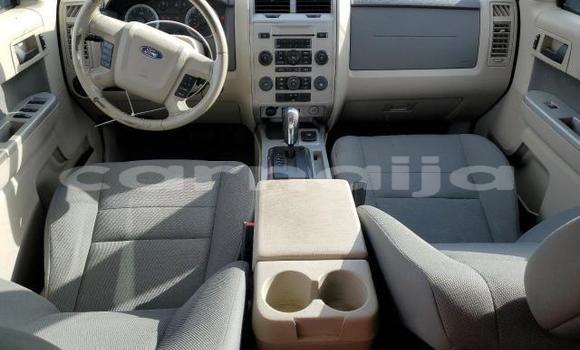 Buy New Ford Escape Black Car in Lagos in Lagos State Buy New Ford Escape Black Car in Lagos in Lagos State