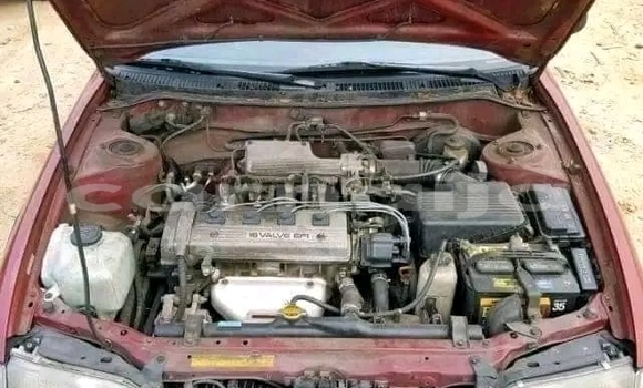 Buy Used Toyota Corolla Red Car in Abat in Akwa Ibom State