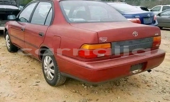 Acheter Occasion Voiture Toyota Corolla Rouge à Une chauve–souris, État d'Akwa Ibom Acheter Occasion Voiture Toyota Corolla Rouge à Une chauve–souris, État d'Akwa Ibom