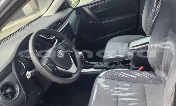 Buy Used Toyota Corolla Other Car in Abuja in Lagos State Buy Used Toyota Corolla Other Car in Abuja in Lagos State