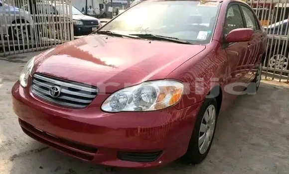 Buy New Toyota Corolla Red Car in Benin in Edo