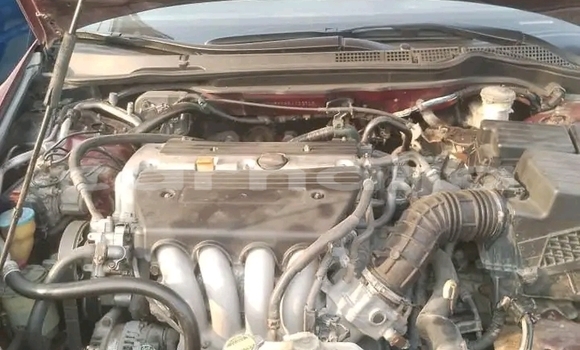 Acheter Occasion Voiture Honda Domani Rouge à Abudu, Edo Acheter Occasion Voiture Honda Domani Rouge à Abudu, Edo