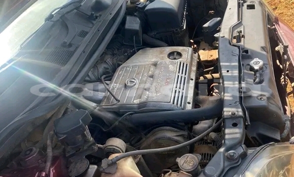 Buy Used Lexus RX 300 Red Car in Abuja in Lagos State