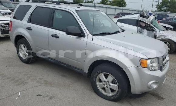 Acheter Neuf Voiture Ford Escape Gris à Lagos, État de Lagos Acheter Neuf Voiture Ford Escape Gris à Lagos, État de Lagos