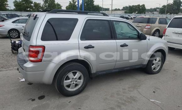 Acheter Neuf Voiture Ford Escape Gris à Lagos, État de Lagos Acheter Neuf Voiture Ford Escape Gris à Lagos, État de Lagos