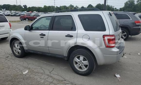 Acheter Neuf Voiture Ford Escape Gris à Lagos, État de Lagos Acheter Neuf Voiture Ford Escape Gris à Lagos, État de Lagos