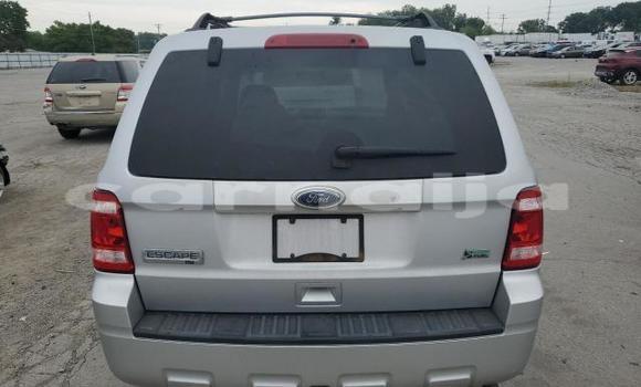 Acheter Neuf Voiture Ford Escape Gris à Lagos, État de Lagos Acheter Neuf Voiture Ford Escape Gris à Lagos, État de Lagos