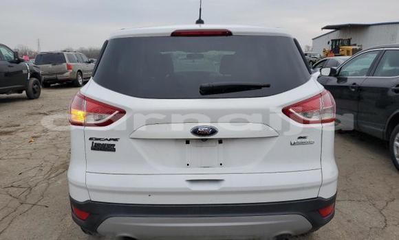 Buy New Ford Escape White Car in Badagry in Lagos State Buy New Ford Escape White Car in Badagry in Lagos State