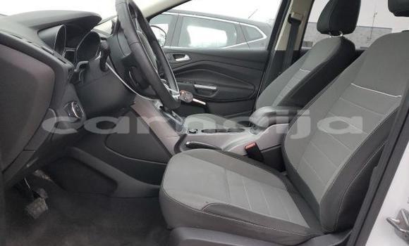 Buy New Ford Escape White Car in Badagry in Lagos State Buy New Ford Escape White Car in Badagry in Lagos State