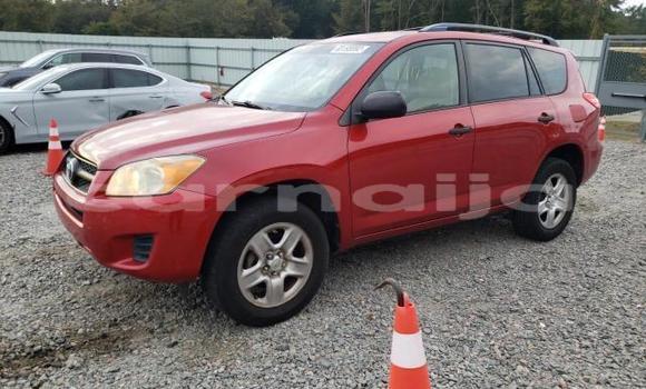 Acheter Neuf Voiture Toyota RAV4 Rouge à Lagos, État de Lagos