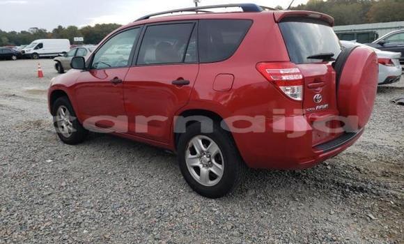 Acheter Neuf Voiture Toyota RAV4 Rouge à Lagos, État de Lagos Acheter Neuf Voiture Toyota RAV4 Rouge à Lagos, État de Lagos