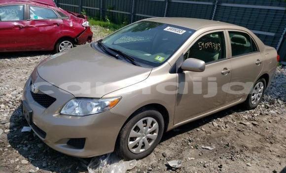 Buy New Toyota Corolla Red Car in Lagos in Lagos State Buy New Toyota Corolla Red Car in Lagos in Lagos State